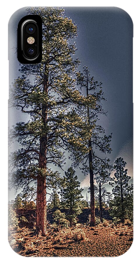 Pictorial iPhone X Case featuring the photograph Ponderosa Pines at the Bonito Lava Flow by Roger Passman