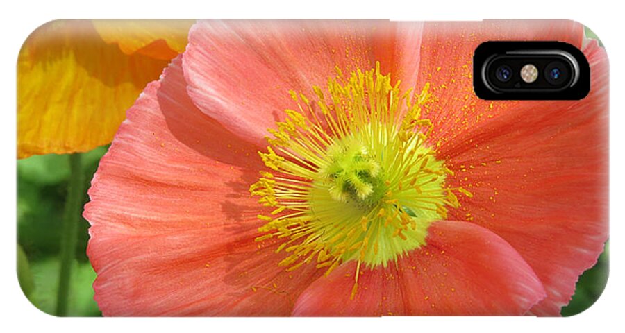 Flower iPhone X Case featuring the photograph Poppies by Dawn Gari