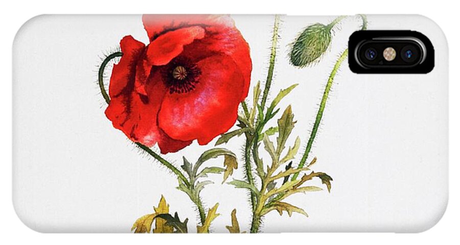 Poppy iPhone X Case featuring the painting Poppy by Attila Meszlenyi