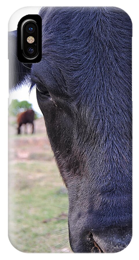 Animal iPhone X Case featuring the photograph Portrait of a Cow by Nathan Little