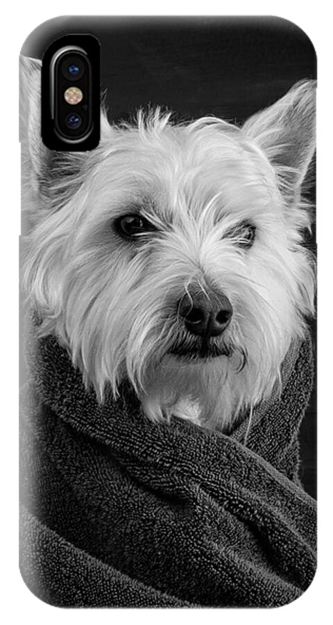 #faatoppicks iPhone X Case featuring the photograph Portrait of a Westie Dog by Edward Fielding