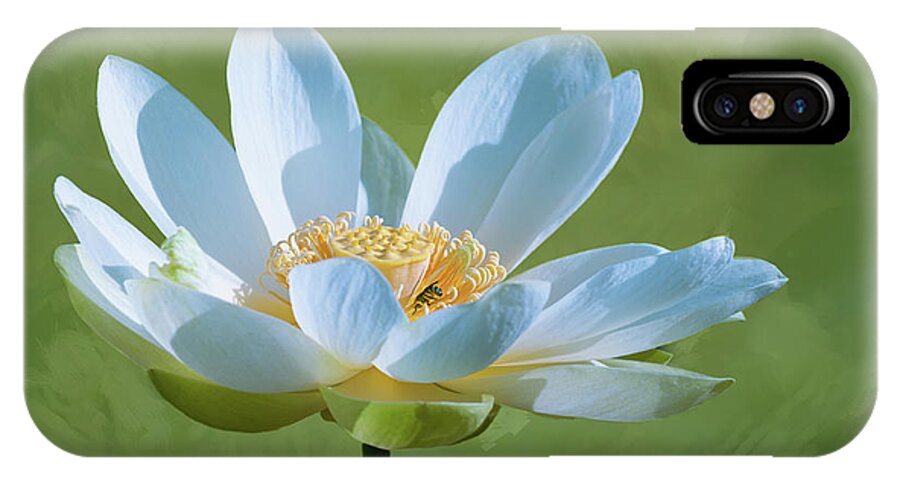 Lotus Blooms Wildflowers iPhone X Case featuring the photograph Power of a Lotus by Carolyn D'Alessandro