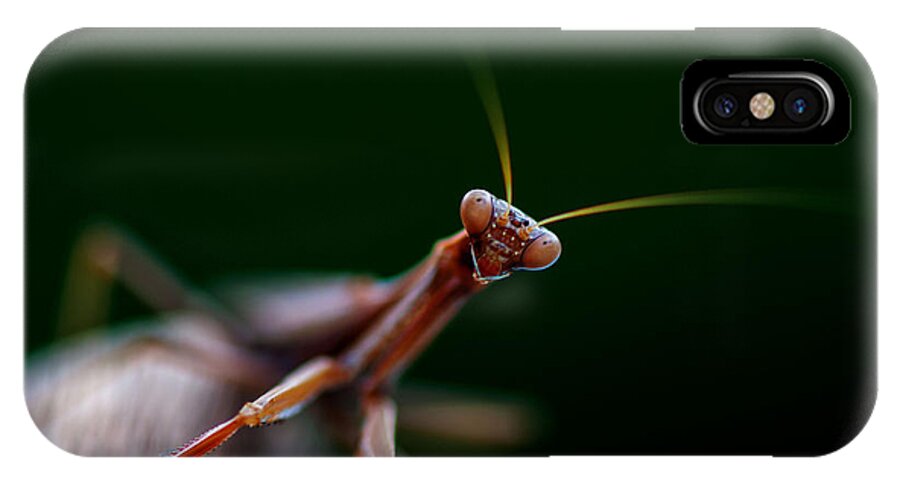 Praying Mantis iPhone X Case featuring the photograph Praying Mantis by Rob Hemphill