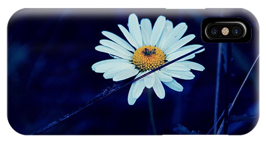 Flowers iPhone X Case featuring the photograph Pretty Petals by Alex Blaha