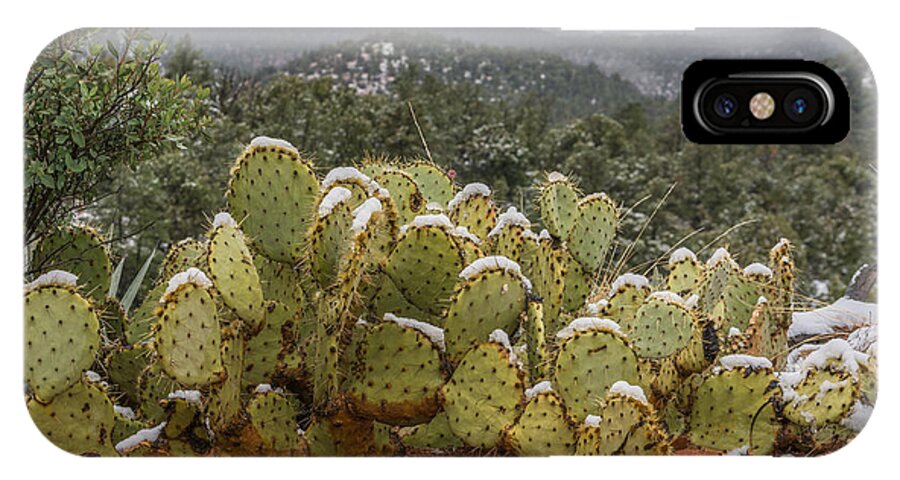 Cactus iPhone X Case featuring the photograph Cactus Country by Racheal Christian