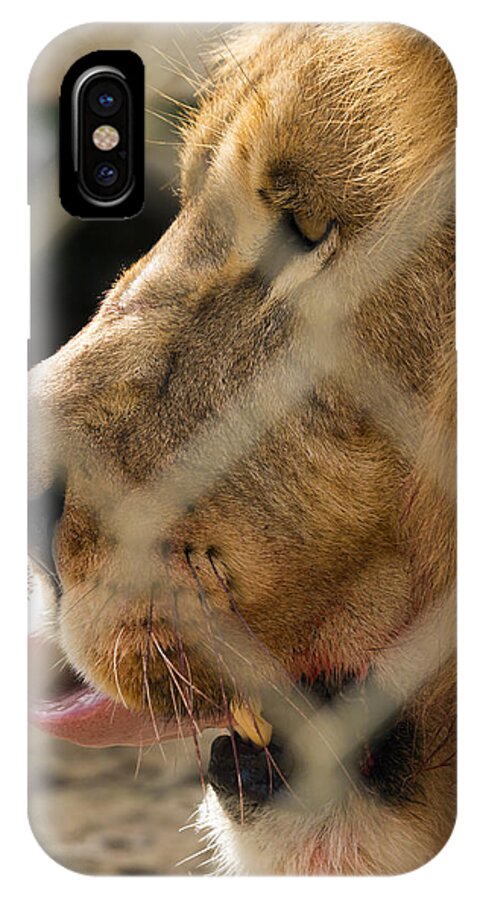 Acres iPhone X Case featuring the photograph Profile of a King by Travis Rogers