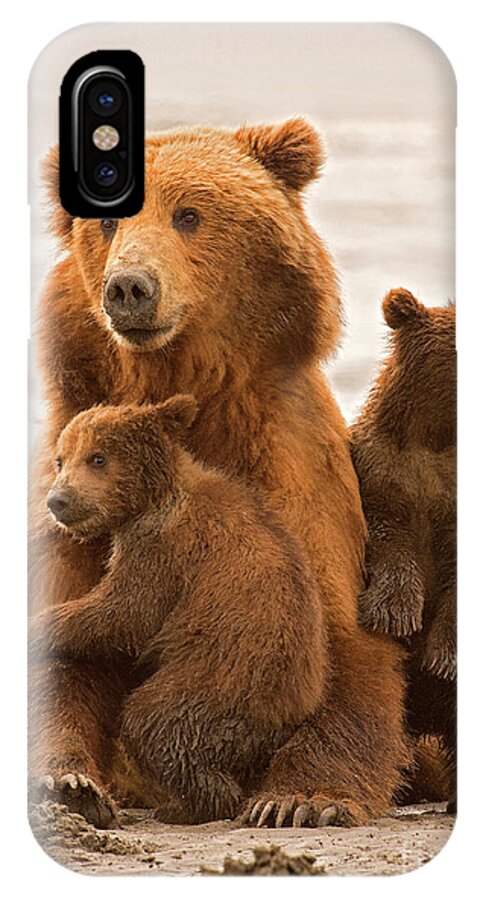 Alaskan Brown Bears iPhone X Case featuring the photograph Protector by Aaron Whittemore