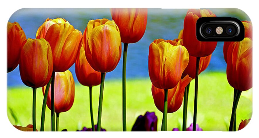 Flowers iPhone X Case featuring the photograph Proud Tulips by Michael Cinnamond