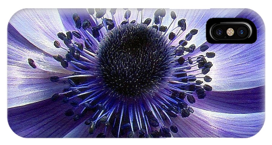Flower iPhone X Case featuring the photograph Purple Anemone Macro by Sue Melvin