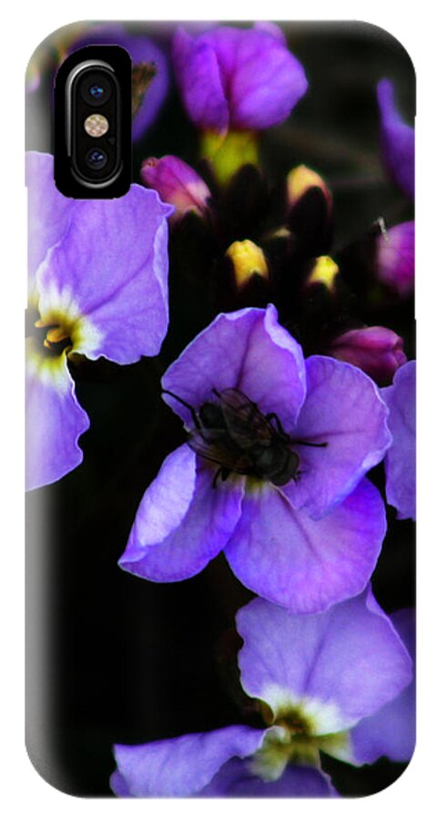Flowers iPhone X Case featuring the photograph Purple Arctic Wild Flowers by Anthony Jones