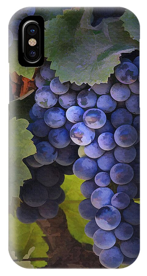 Grape iPhone X Case featuring the photograph Purple Blush by Sharon Foster