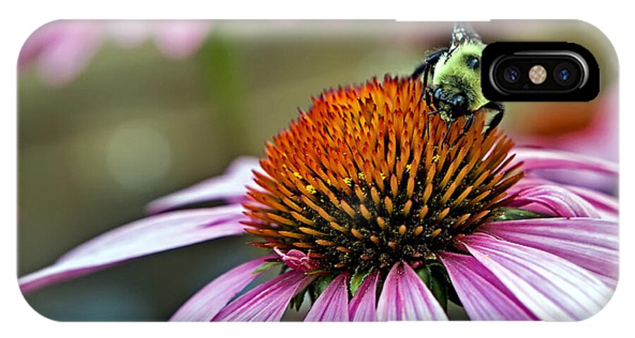 Macro iPhone X Case featuring the photograph Purple Cone Flower and Bee by Al Mueller