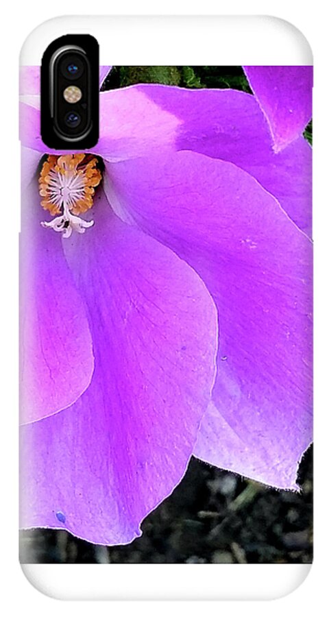 Purple iPhone X Case featuring the photograph Purple Flower 1 by Barbara J Blaisdell