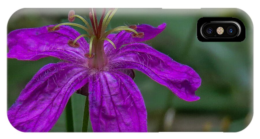 Nature iPhone X Case featuring the photograph Purple Flower 5 by Christy Garavetto
