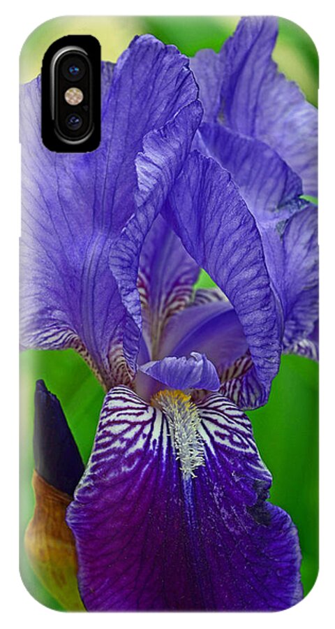 Purple Iris iPhone X Case featuring the photograph Purple Iris by Lisa Phillips