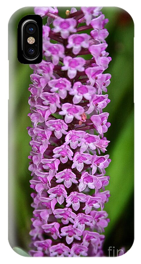 Tropical Plant iPhone X Case featuring the photograph Purple Pillar by Susan Herber