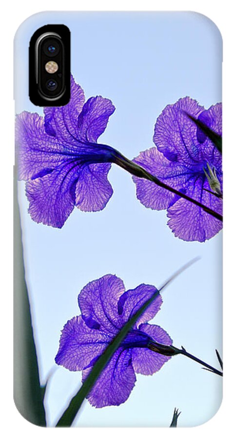 Flower iPhone X Case featuring the photograph Purple Trio by Christopher Holmes