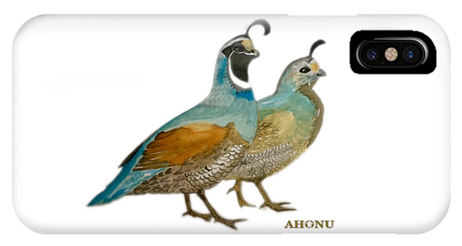 Quail iPhone X Case featuring the painting Quail Pair by AHONU Aingeal Rose