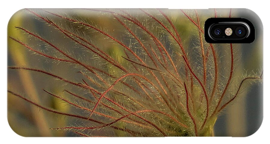 Red iPhone X Case featuring the photograph Quirky Red Squiggly Flower 4 by Christy Garavetto