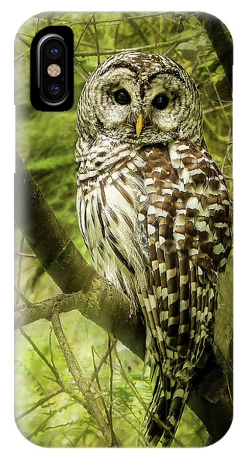 Jean Noren iPhone X Case featuring the photograph Radiating Barred Owl by Jean Noren