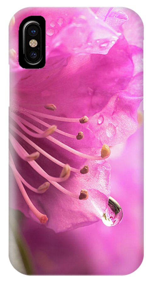 Rhododendron iPhone X Case featuring the photograph Raindrop on Rhododenron by Jim Hughes