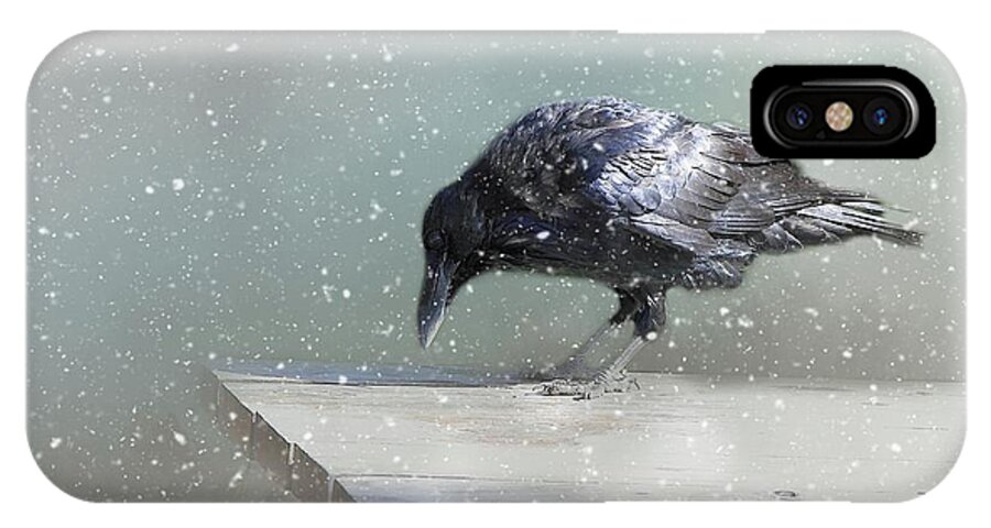 Common Raven iPhone X Case featuring the photograph Raven in Winter by Eva Lechner