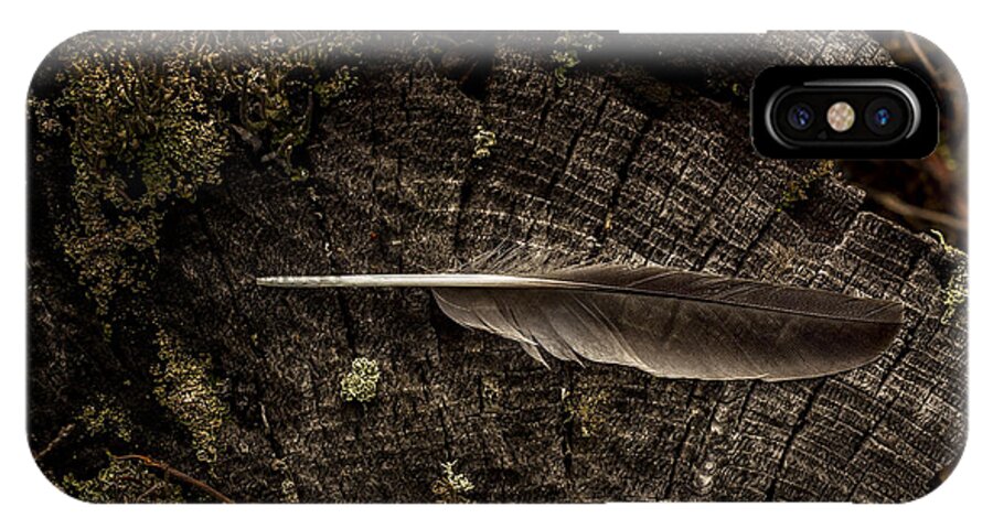 Raven iPhone X Case featuring the photograph Ravens Feather by Fred Denner