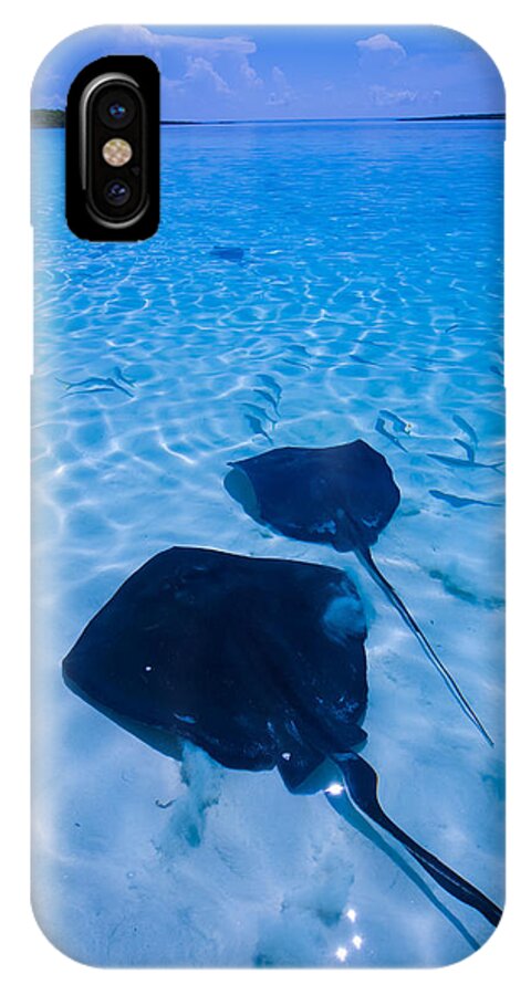 Caribbean iPhone X Case featuring the photograph Rays under feet by Ian Sempowski