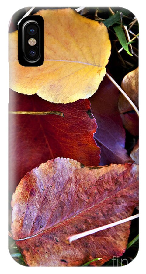 Afternoon iPhone X Case featuring the photograph Red Autumn Leaves by Ray Laskowitz - Printscapes