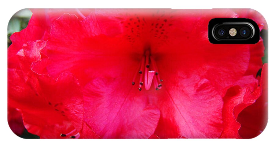 �azaleas Artwork� iPhone X Case featuring the photograph RED AZALEAS Flowers 4 Red Azalea Garden Giclee Art Prints Baslee Troutman by Patti Baslee