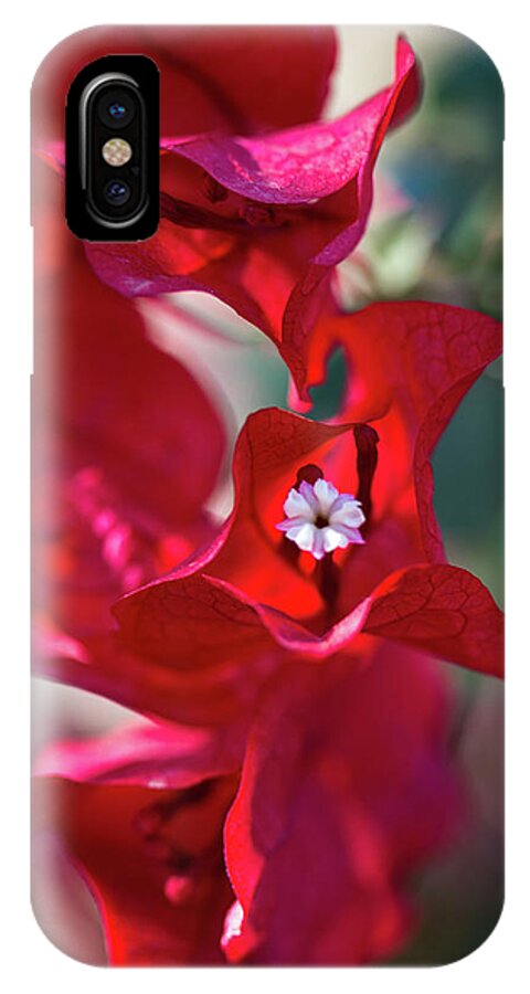 Red iPhone X Case featuring the photograph Red Bougainvillea by Susie Weaver