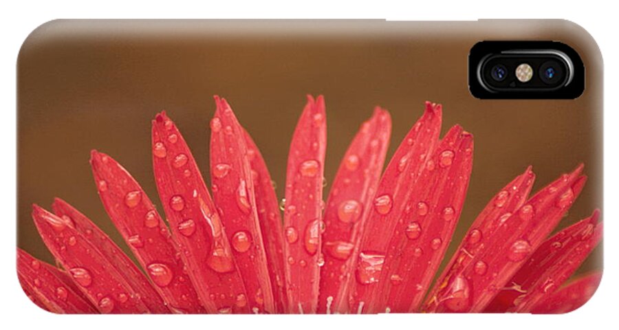 Flower iPhone X Case featuring the photograph Red Flower 1 of 2 by Jonathan Harper