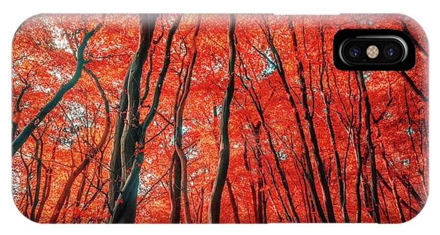 Red Forest iPhone X Case featuring the photograph Red Forest of Sunlight by John Williams