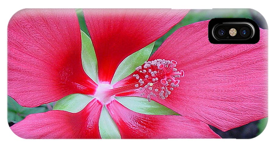 Red iPhone X Case featuring the photograph Red Hibiscus by Suzanne Gaff
