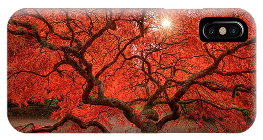 Fall iPhone X Case featuring the photograph Red Lace by Dan Mihai