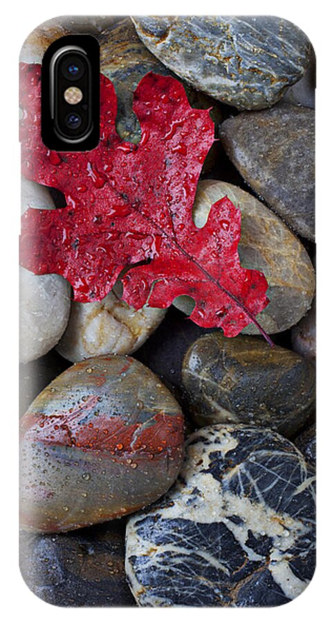 Red Leaf iPhone X Case featuring the photograph Red Leaf Wet Stones by Garry Gay