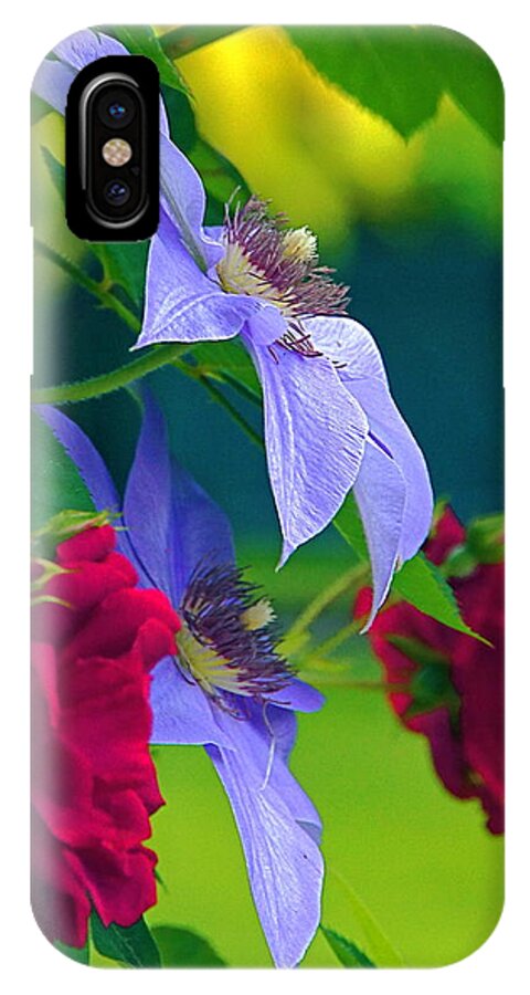 Lavender Flower iPhone X Case featuring the photograph Red Meets Lavender by Byron Varvarigos