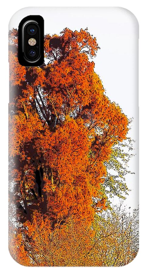 Red Reddish Orange Red-orange Tree Trees Fall Woods Wood Leaf Leaves Craig Walters A An The Art Artist Photo Photograph iPhone X Case featuring the digital art Red-Orange Fall Tree by Craig Walters