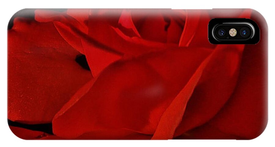 Red Rose iPhone X Case featuring the photograph Red Red Rose by Daniele Smith