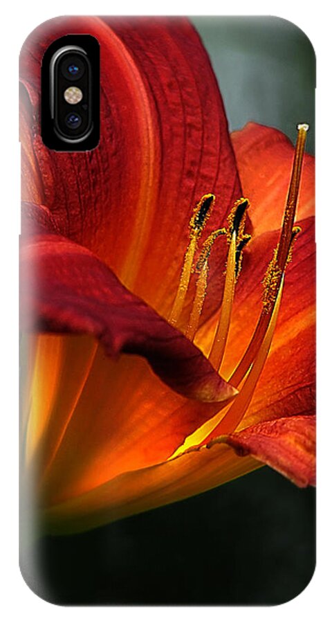 Asiatic Lily iPhone X Case featuring the photograph Red Seduction 2 by John Poon