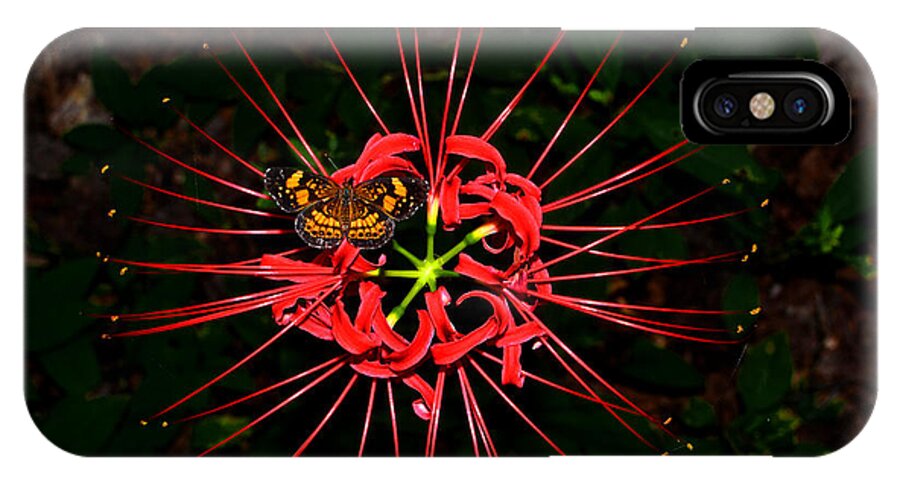 Spiser Lily iPhone X Case featuring the photograph Red Spider Lily and Painted Lady Butterfly 001 by George Bostian