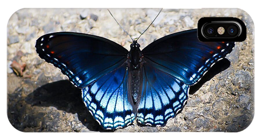 Red-spotted Purple Butterfly iPhone X Case featuring the photograph Red-spotted Purple Butterfly by Kerri Farley