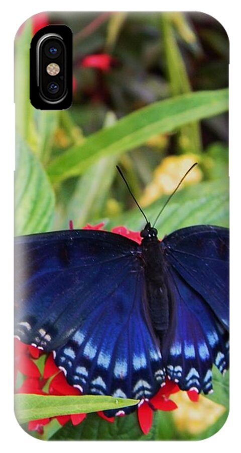 Red Spotted Purple Butterfly iPhone X Case featuring the photograph Red Spotted Purple Butterfly by Warren Thompson