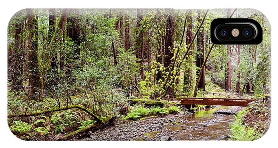 John iPhone X Case featuring the photograph Redwood Creek Flowing through Muir Woods National Monument - Mill Valley Marin County California by Silvio Ligutti