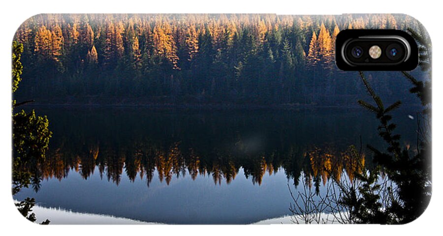 Tamarack iPhone X Case featuring the photograph Reflecting on Autumn by Albert Seger