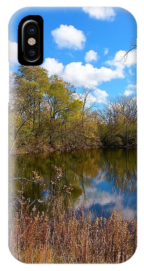 Colored Grasses iPhone X Case featuring the photograph Reflective Cloudy Palatine, IL, Library Pond by Jane Butera Borgardt