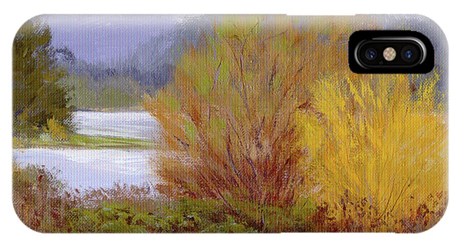 Water iPhone X Case featuring the painting Reservoir Spring by Karen Ilari