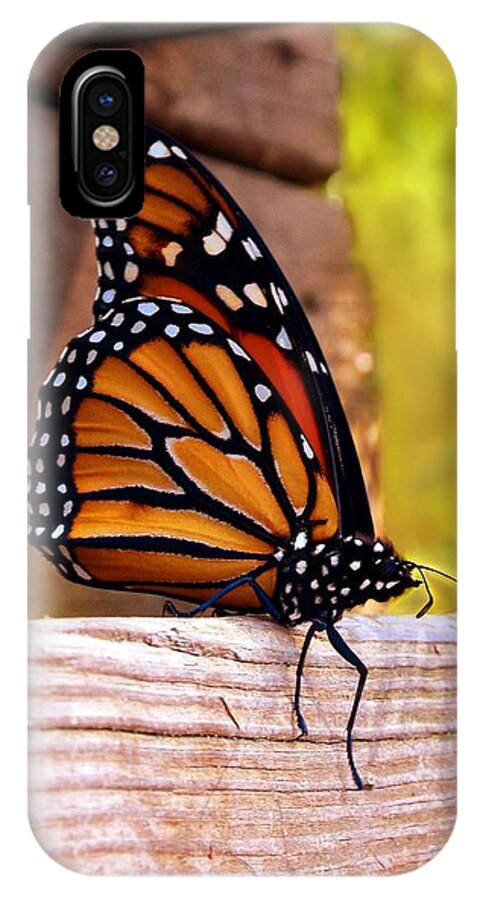Monarch iPhone X Case featuring the photograph Respite by Danielle R T Haney