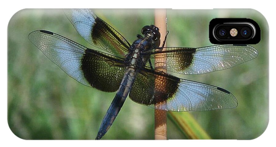 Dragonfly iPhone X Case featuring the photograph Rest Stop by Lora Fisher