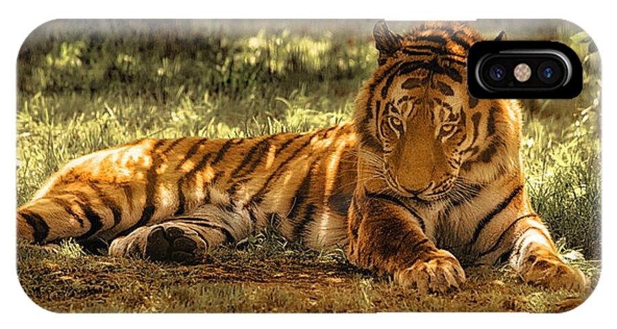 Tiger iPhone X Case featuring the photograph Resting Tiger by Chris Boulton